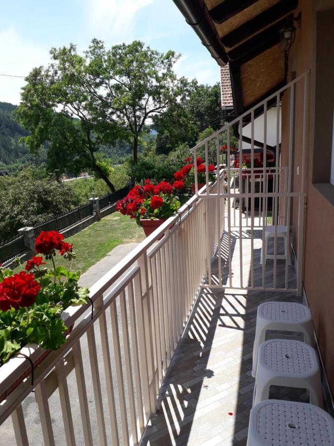 מוקרה גורה Apartmani Maksimovic מראה חיצוני תמונה