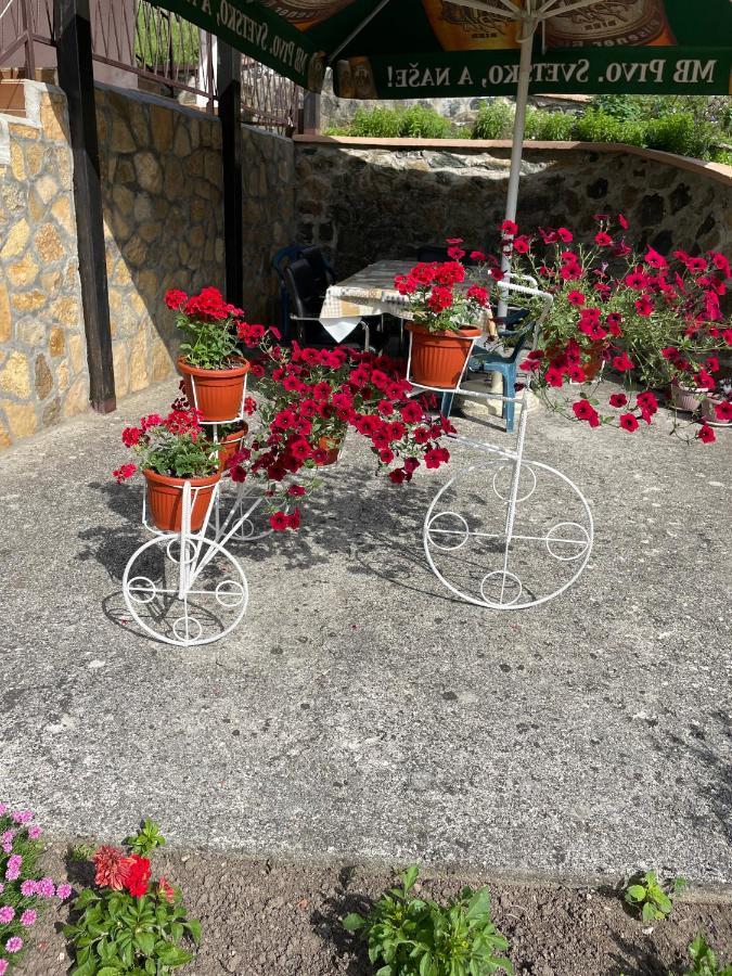 מוקרה גורה Apartmani Maksimovic מראה חיצוני תמונה